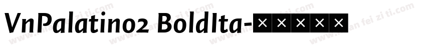 VnPalatino2 BoldIta字体转换